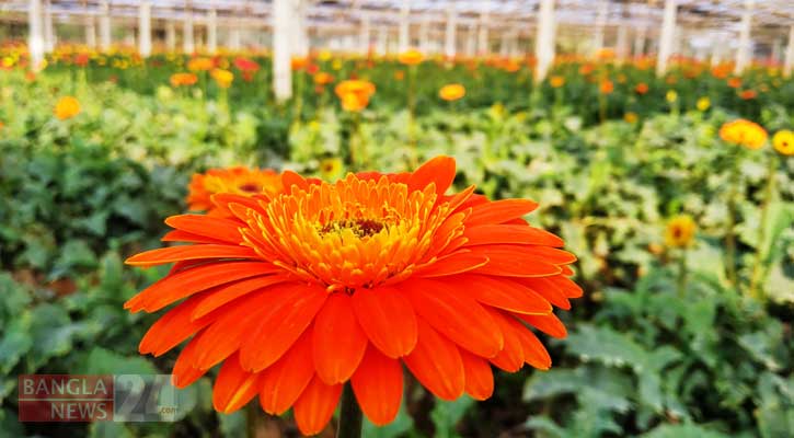 cover20200111082116 cover20200111082116