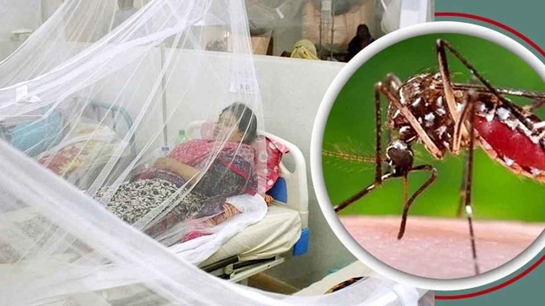 dengue