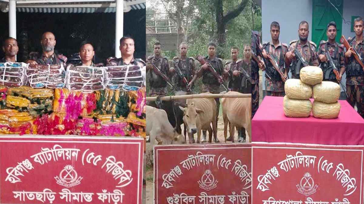 হবিগঞ্জে ৪৪ লাখ টাকার চোরাচালানের মালামাল জব্দ