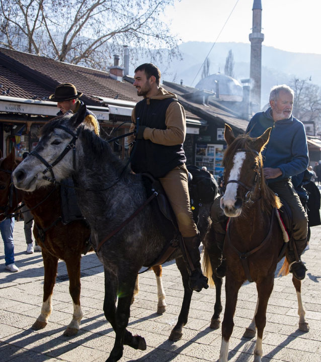 horse-haj-safar horse-haj-safar