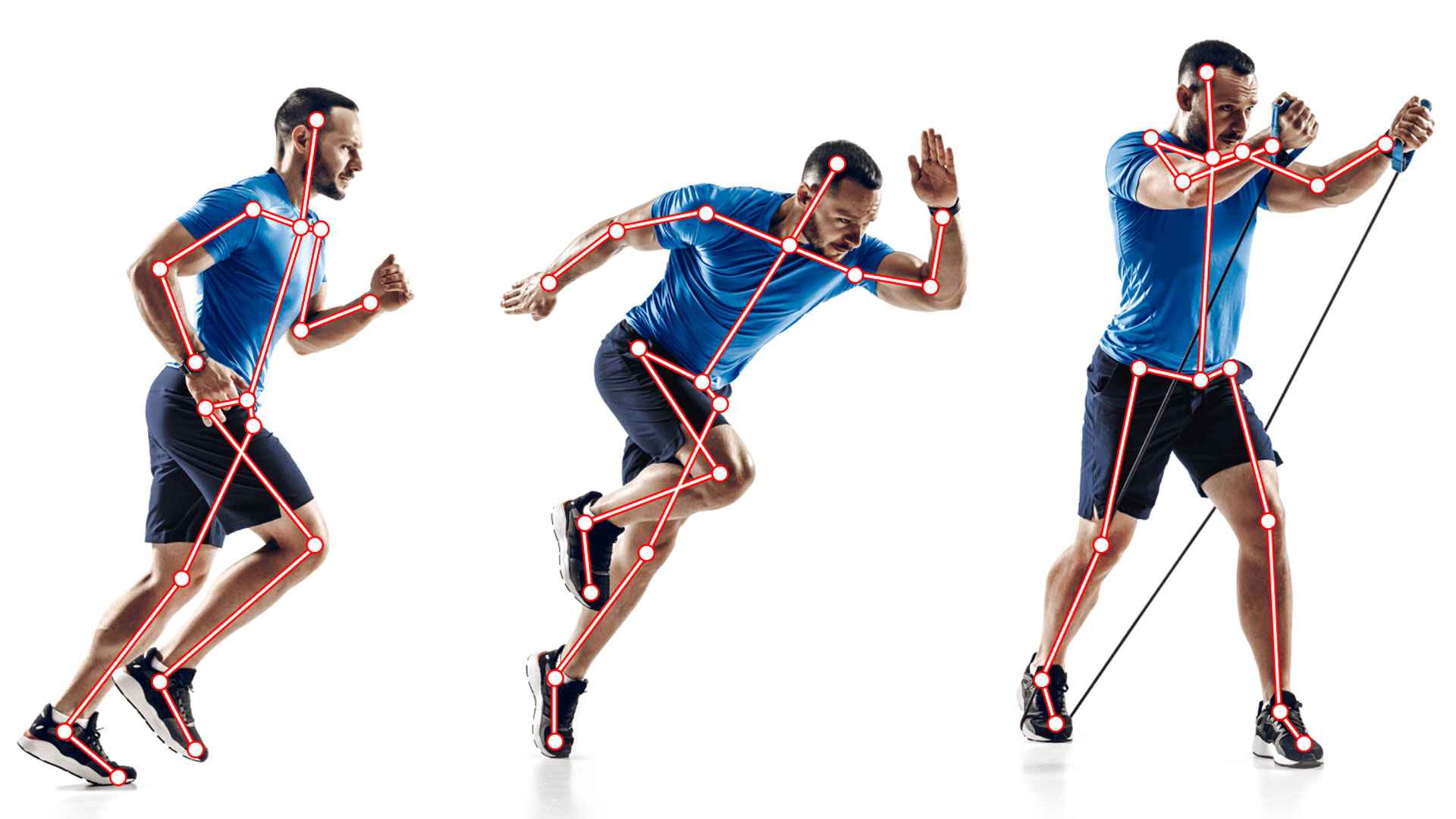 মানবদেহে হাড় কয়টি?