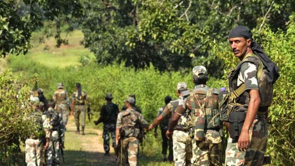 ভারতে যৌথবাহিনীর অভিযানে ৩০ মাওবাদী নিহত