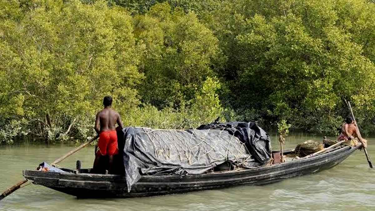 সুন্দরবনের বনজীবীরা পাচ্ছেন ডিজিটাল পরিচয়পত্র