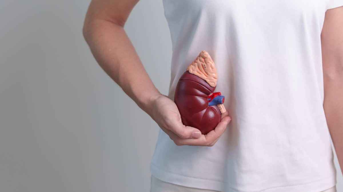 একটি কিডনি দিয়ে মানুষ কতদিন বাঁচে?