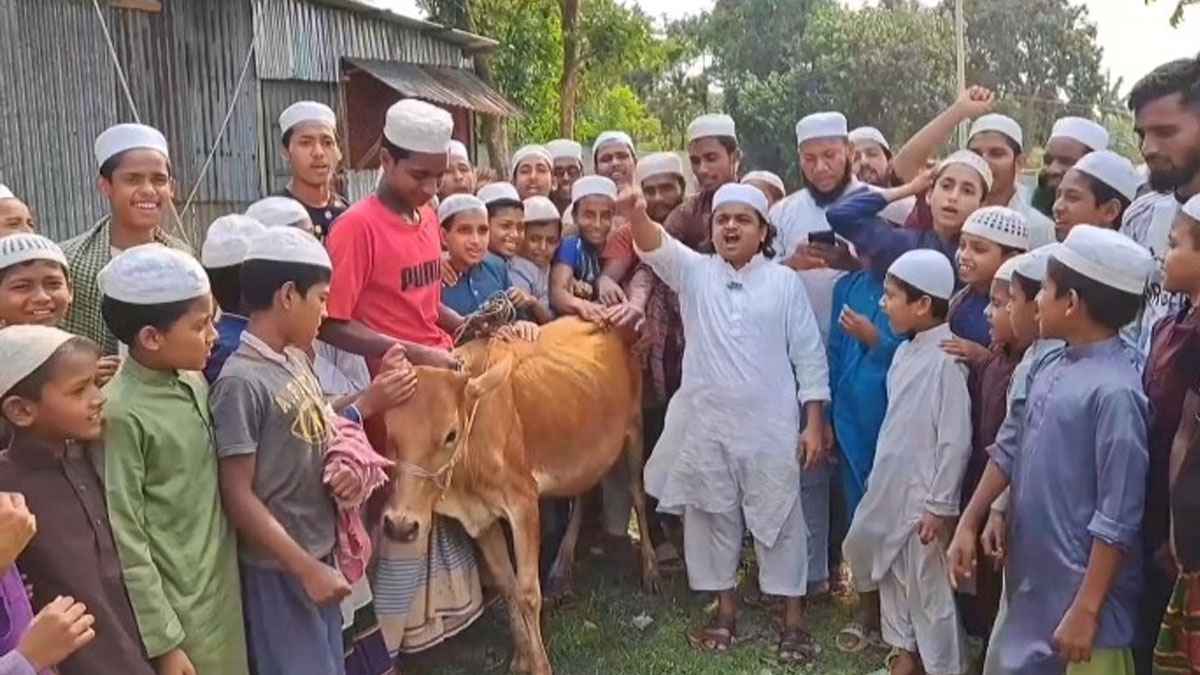 আ.লীগের কার্যক্রম নিষিদ্ধ: নেত্রকোনায় গরু কোরবানি দিলেন রফিকুল মাদানী