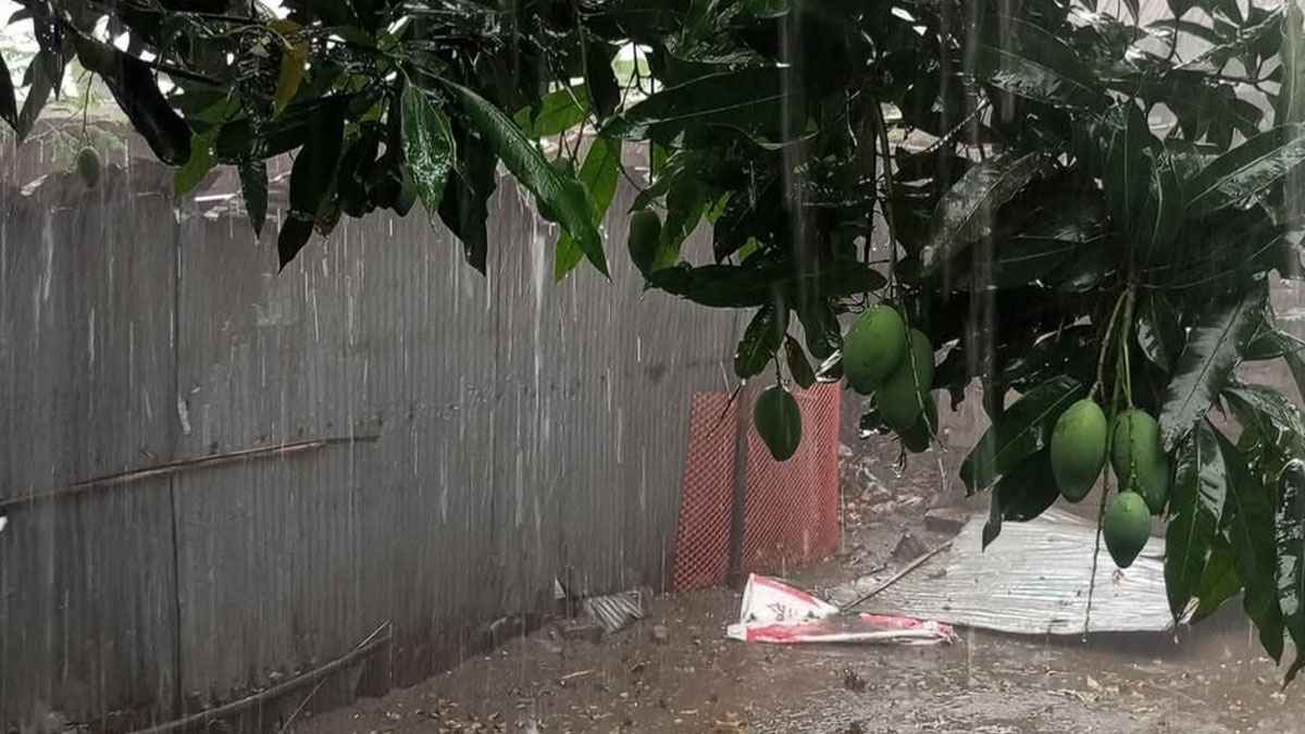 তীব্র গরমের পর তেঁতুলিয়ায় স্বস্তির বৃষ্টি