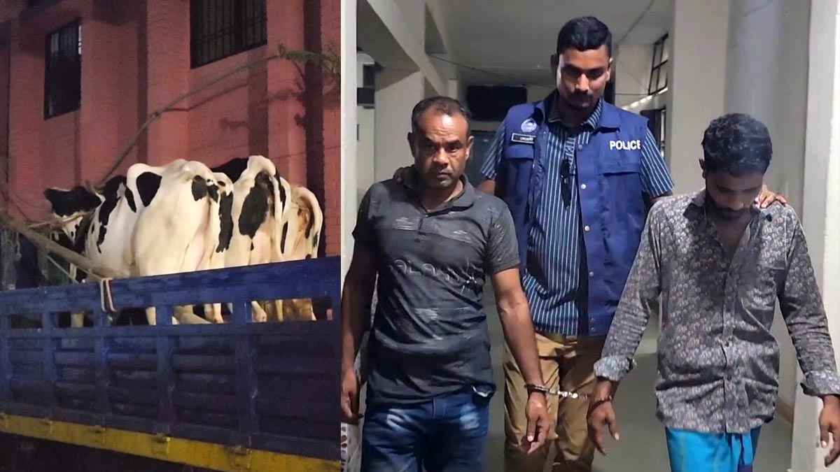 মুন্সিগঞ্জে গরুর খামারে ডাকাতির ঘটনায় গ্রেফতার ২