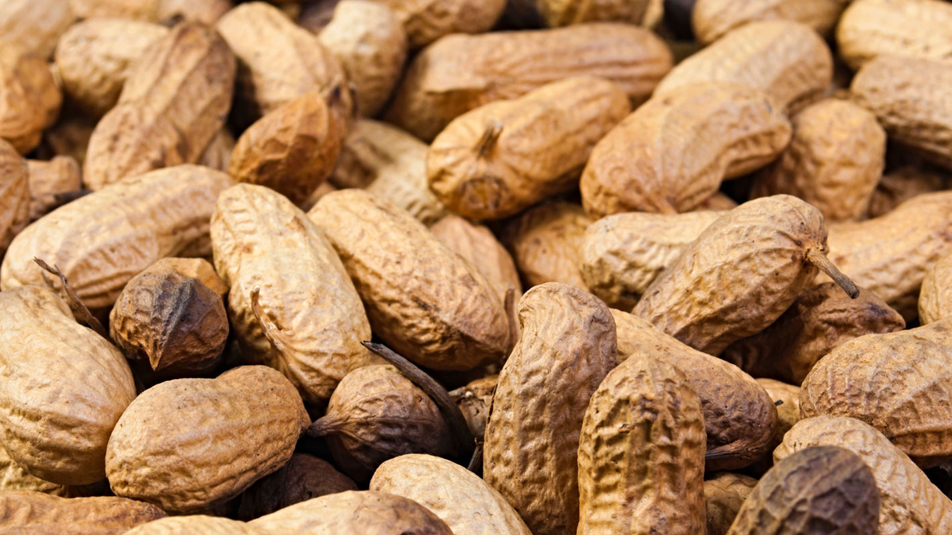 peanuts-in1 peanuts-in1