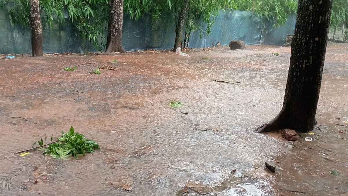 পিরোজপুরে তীব্র দাবদাহের পরে স্বস্তির বৃষ্টি