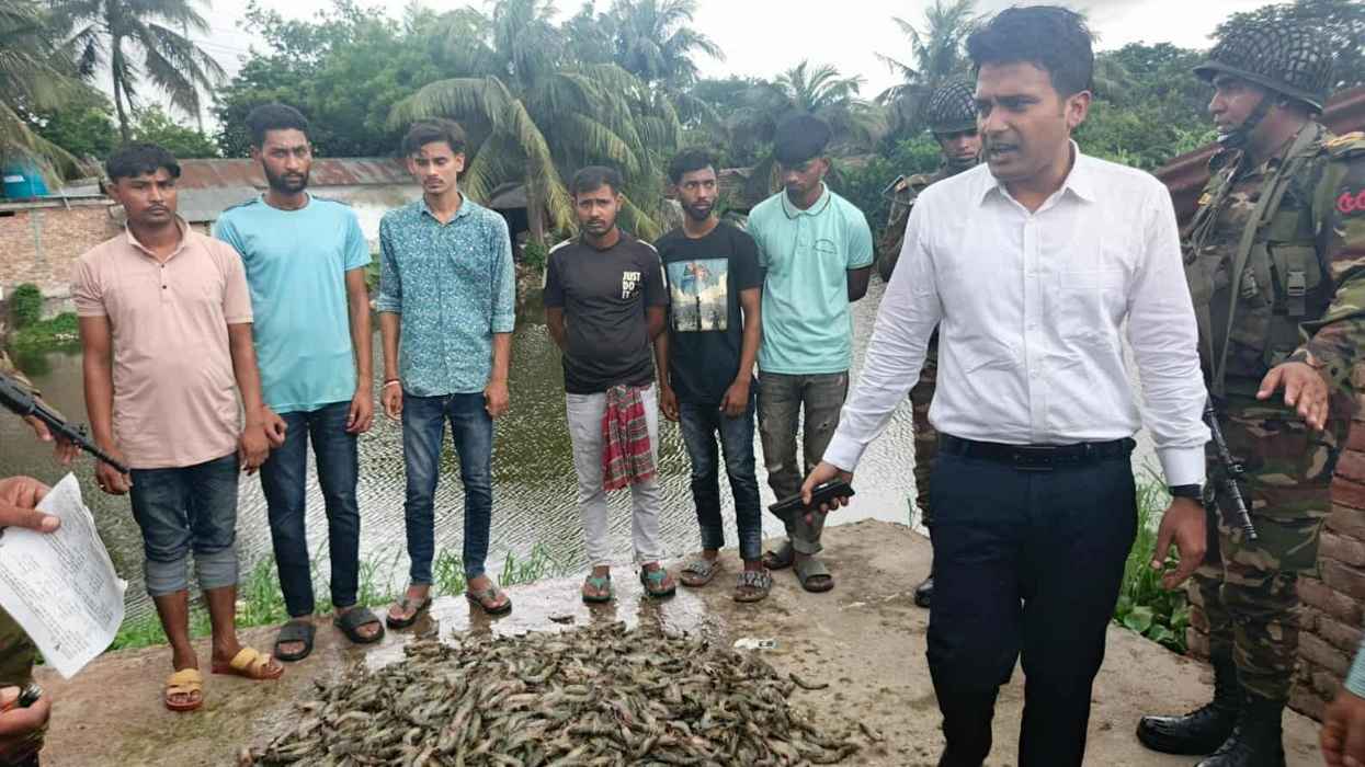 চিংড়িতে জেলি পুশ করায় ৬ জনকে জেল, চিংড়ি ধ্বংস