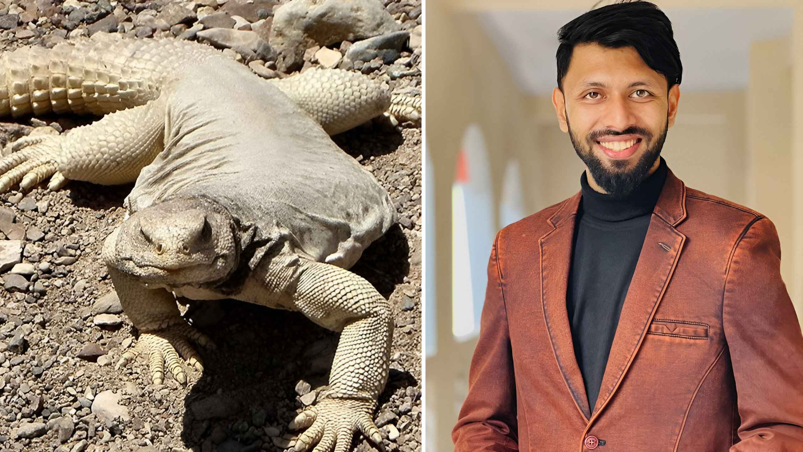 সান্ডা ধরতে যাবেন ‘গল্লি বয়’ গায়ক তাবীব