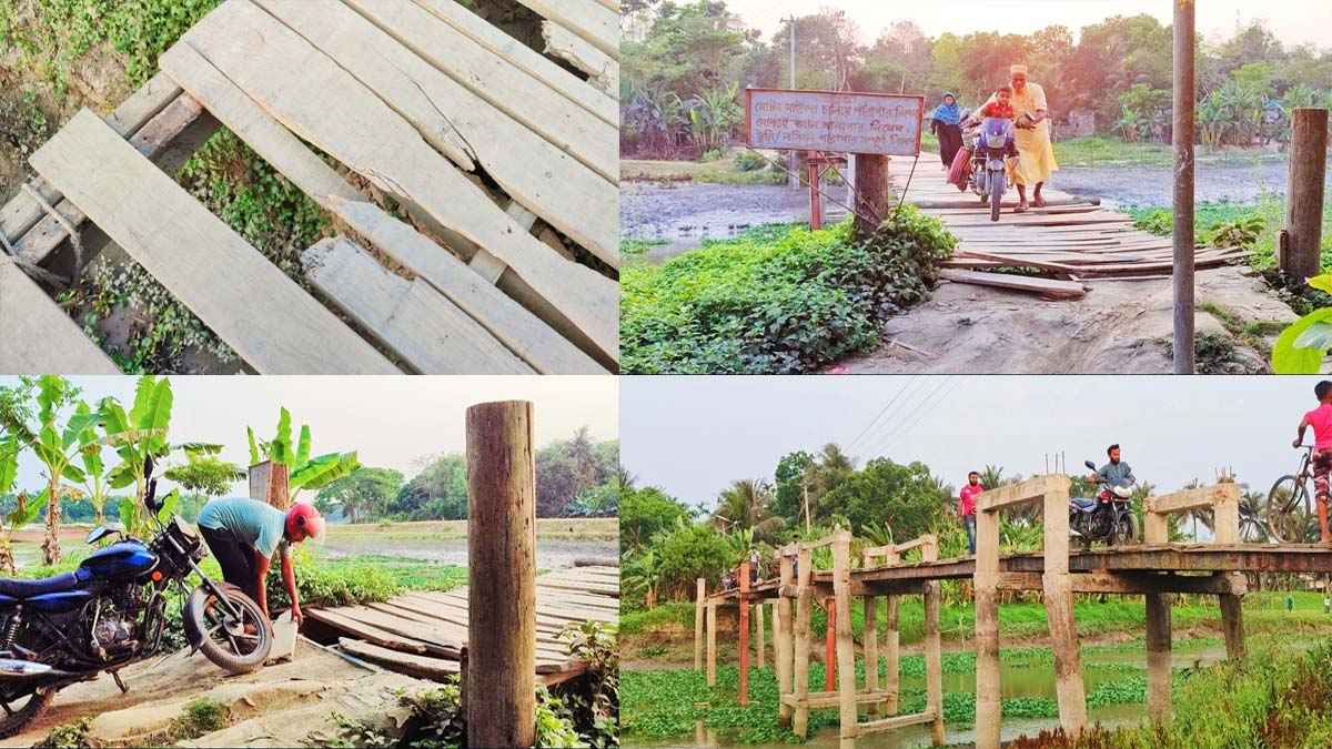 ‘হাঁটার সময় কাঁপে বুক, এই বুঝি পড়ে যাব নদের জলে’