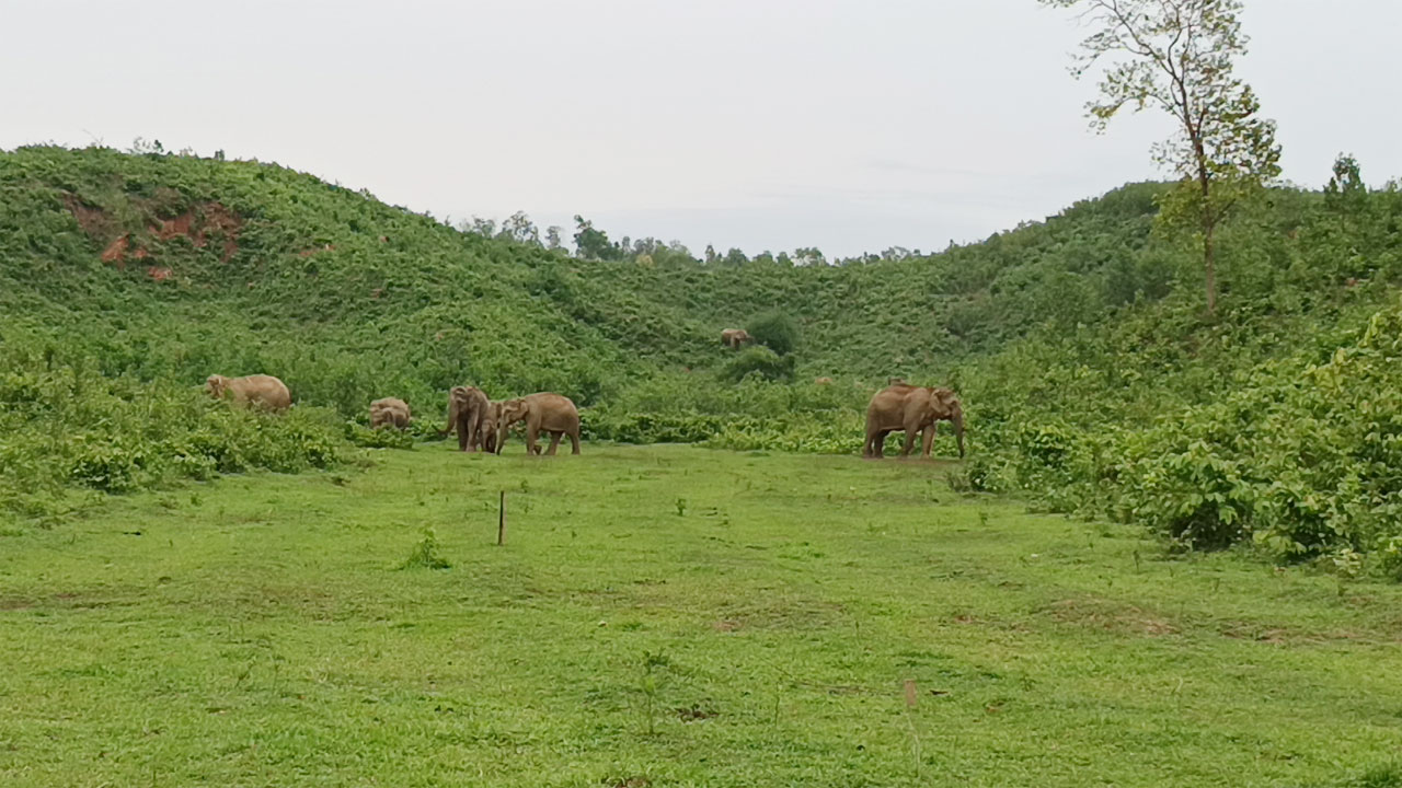 sherpur-1-20250521012526