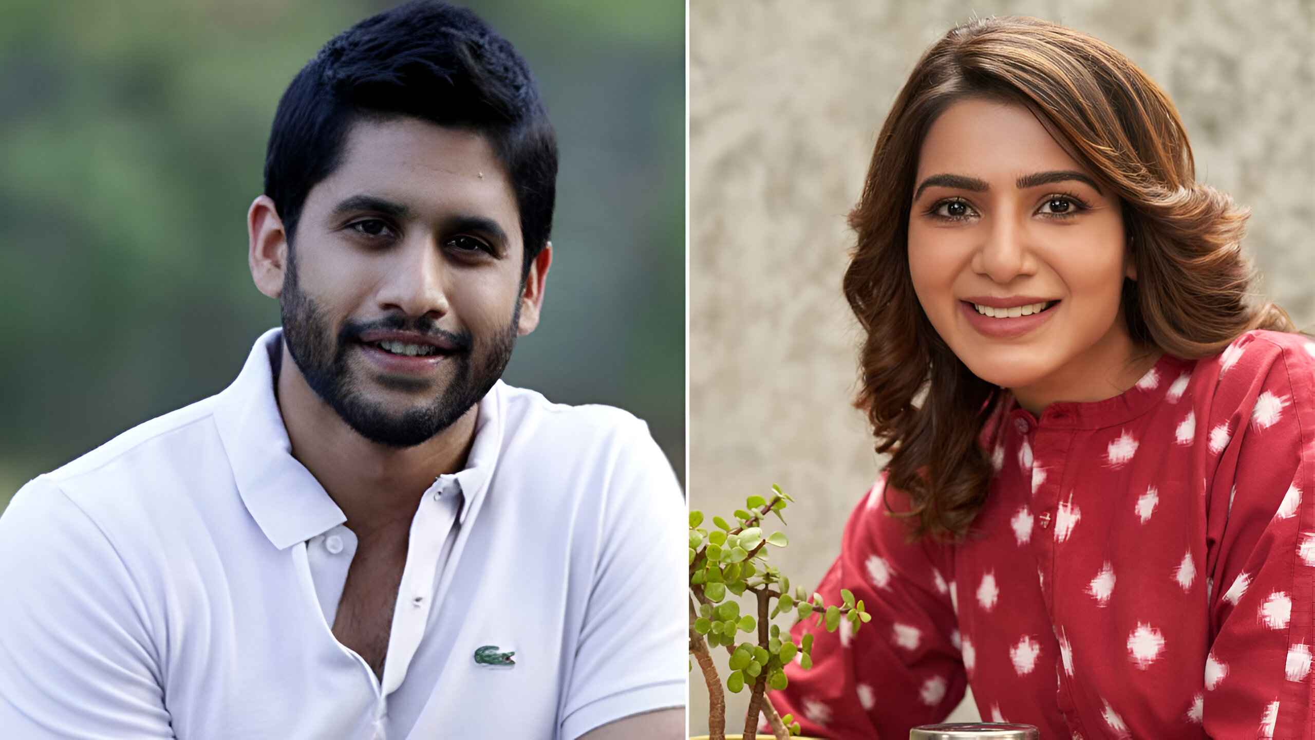 sim-rat_20250508_131853513 sim-rat_20250508_131853513