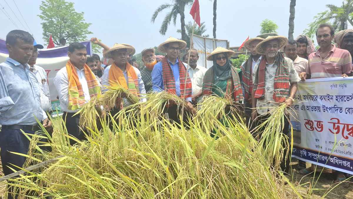 ঝিনাইদহে সমলয় পদ্ধতিতে বোরো ধান কর্তন