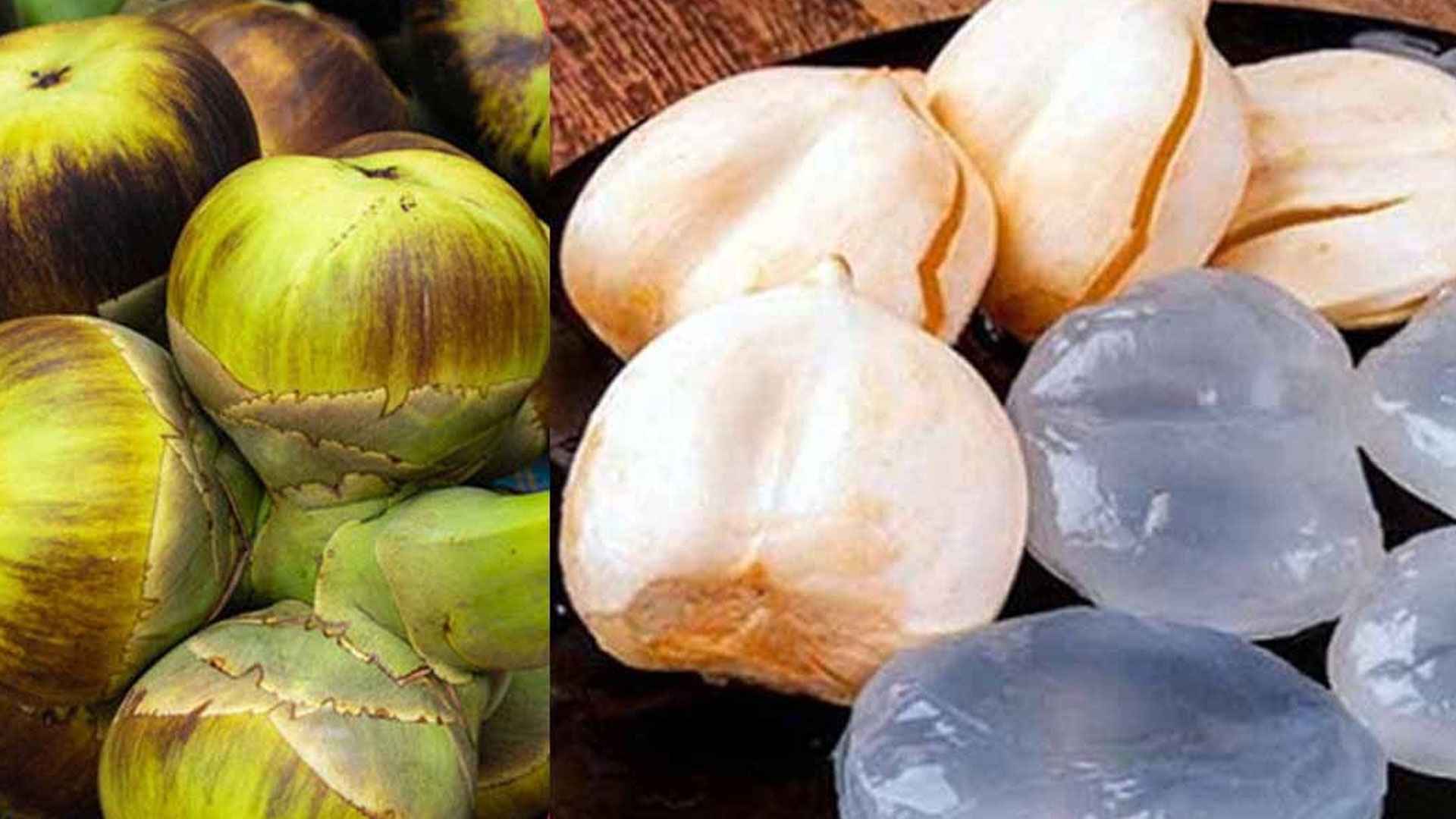 যাদের জন্য তালের শাঁস বেশি উপকারি