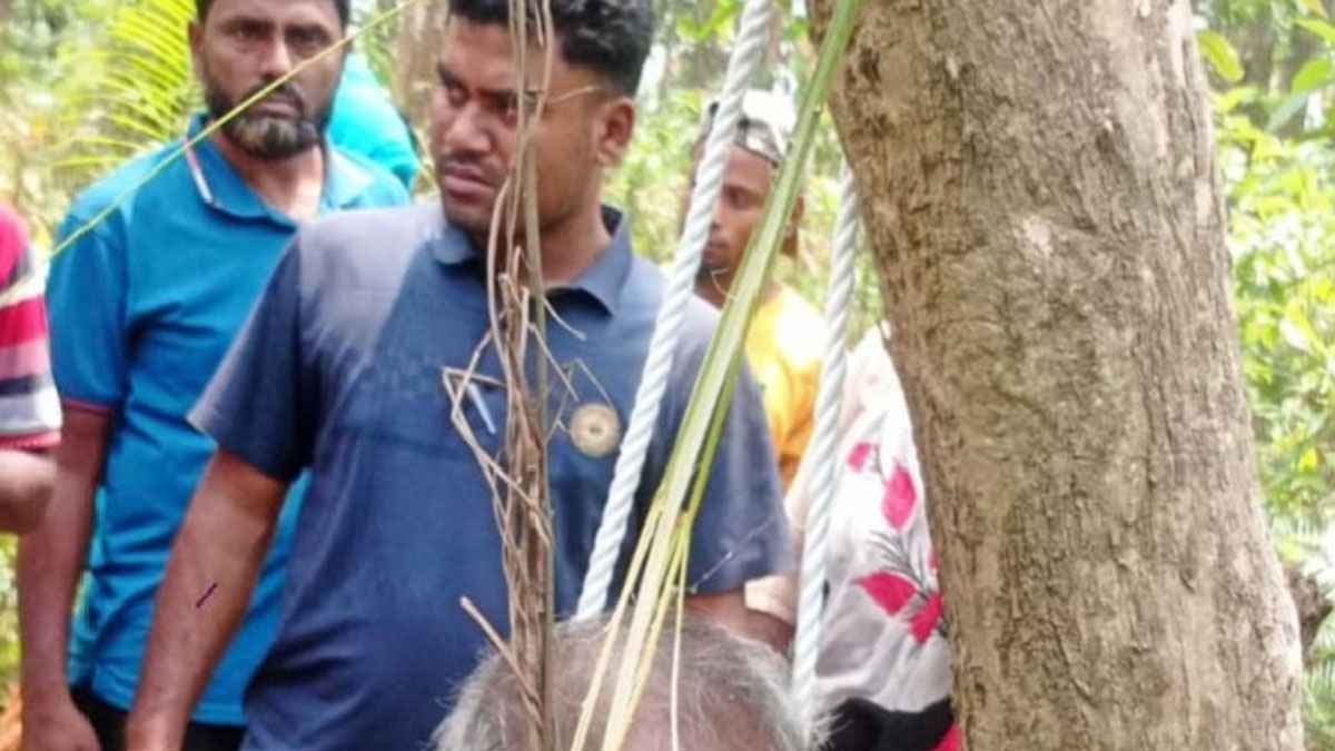 টাঙ্গাইলে নিখোঁজের একদিন পর জঙ্গলে মিলল কাঠমিস্ত্রির ঝুলন্ত মরদেহ