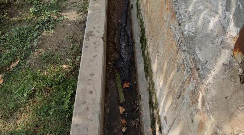 thumbnail_1000008991