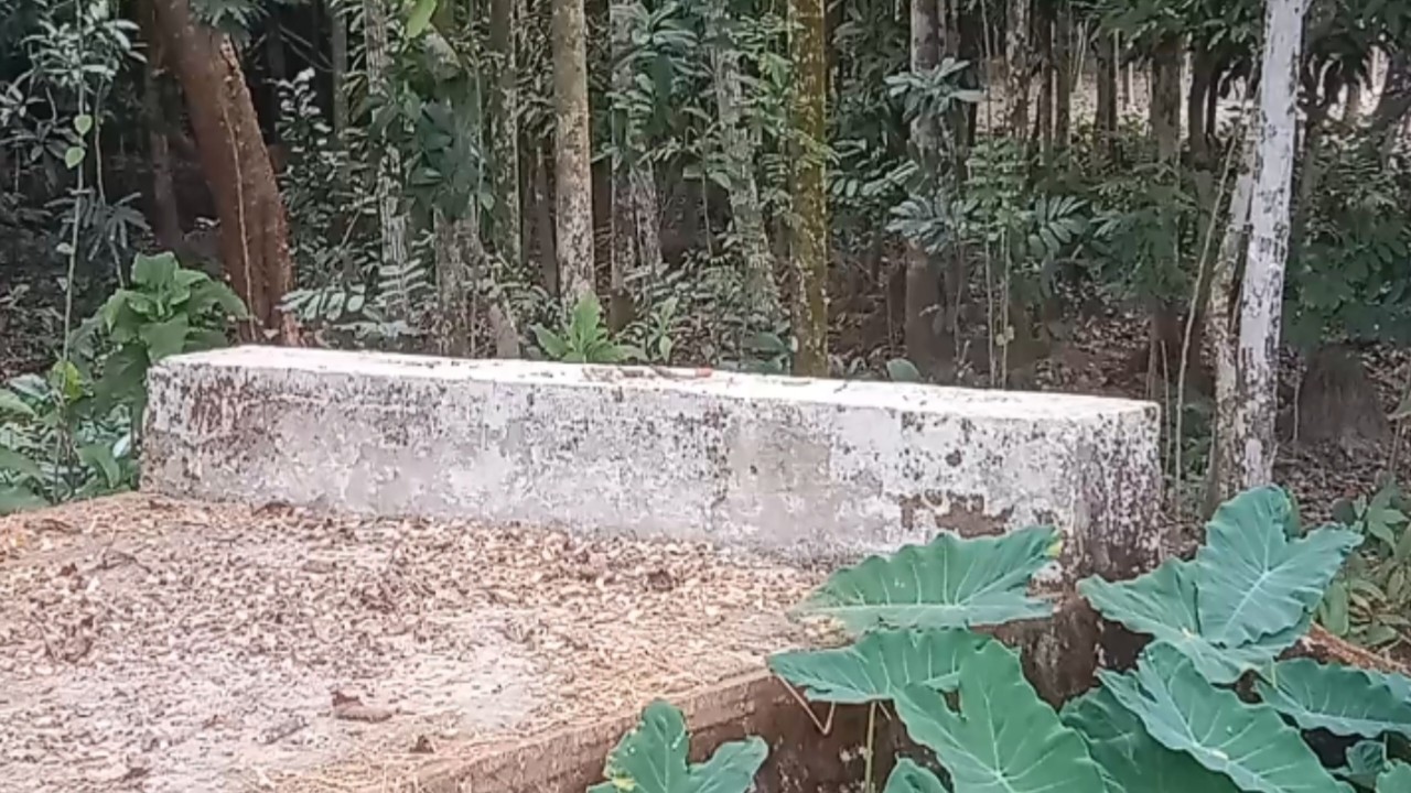 thumbnail_1000019547