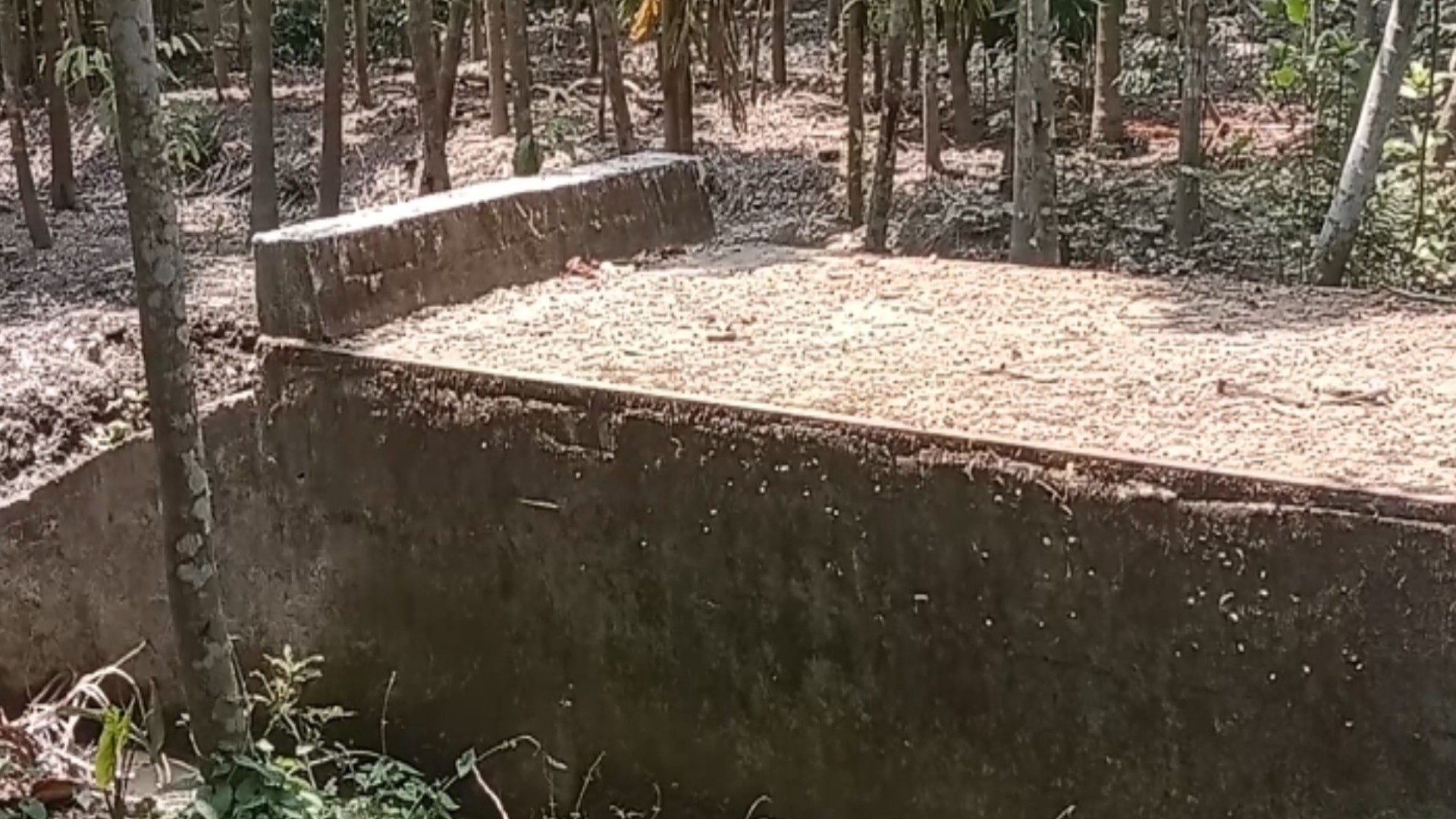 thumbnail_1000019549