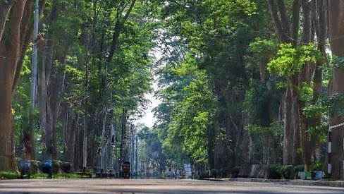 আবেগ ও ভালোবাসার প্যারিস রোডের এক সকালে