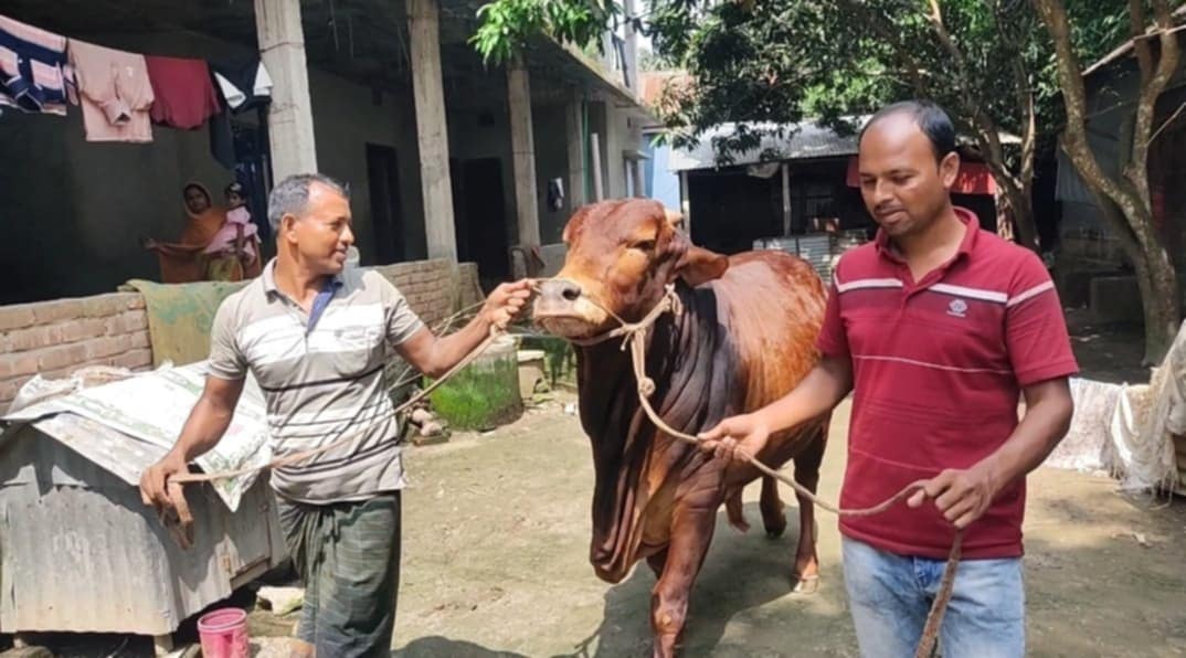 thumbnail_1000109665