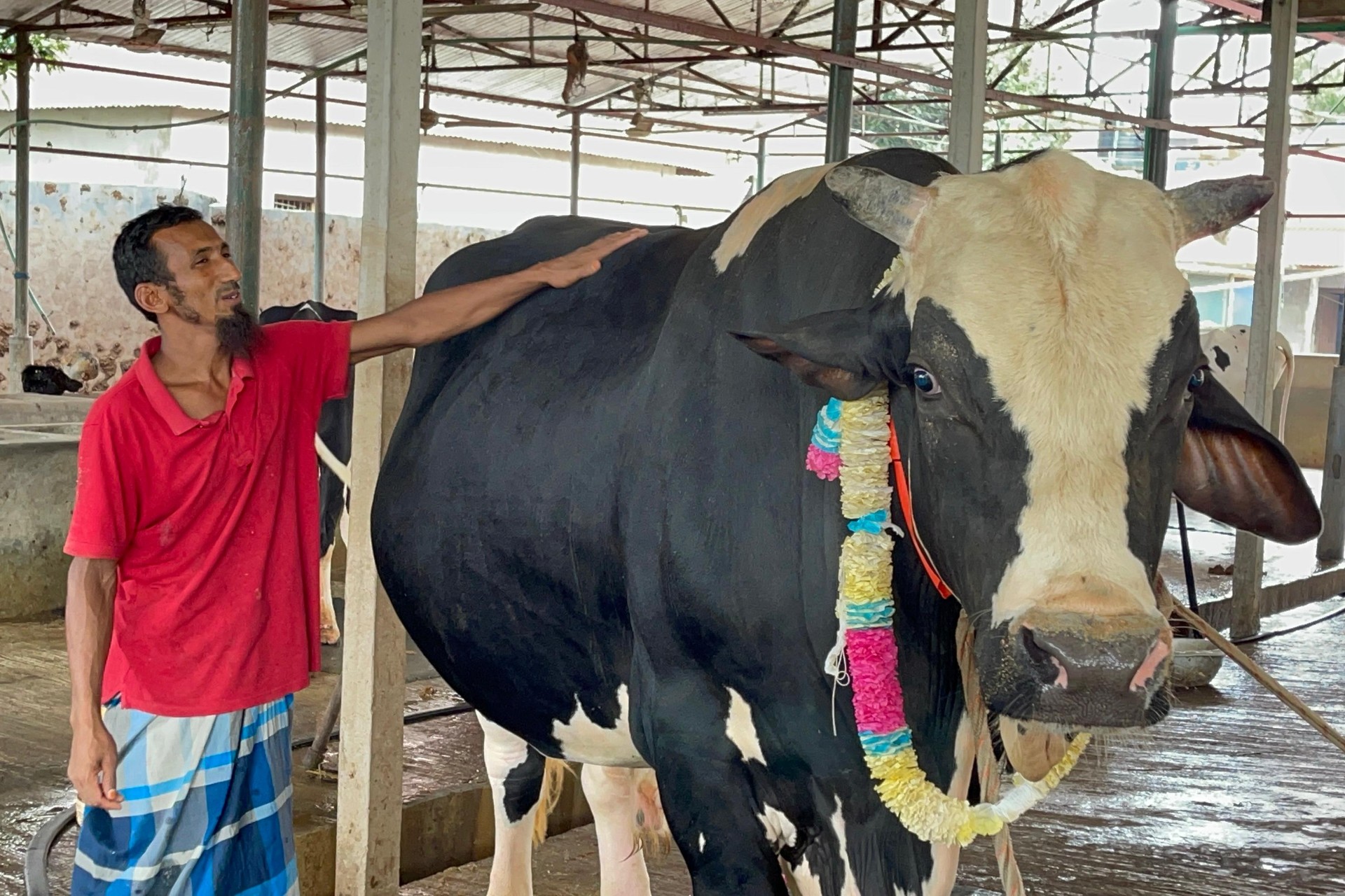 thumbnail_1000123385