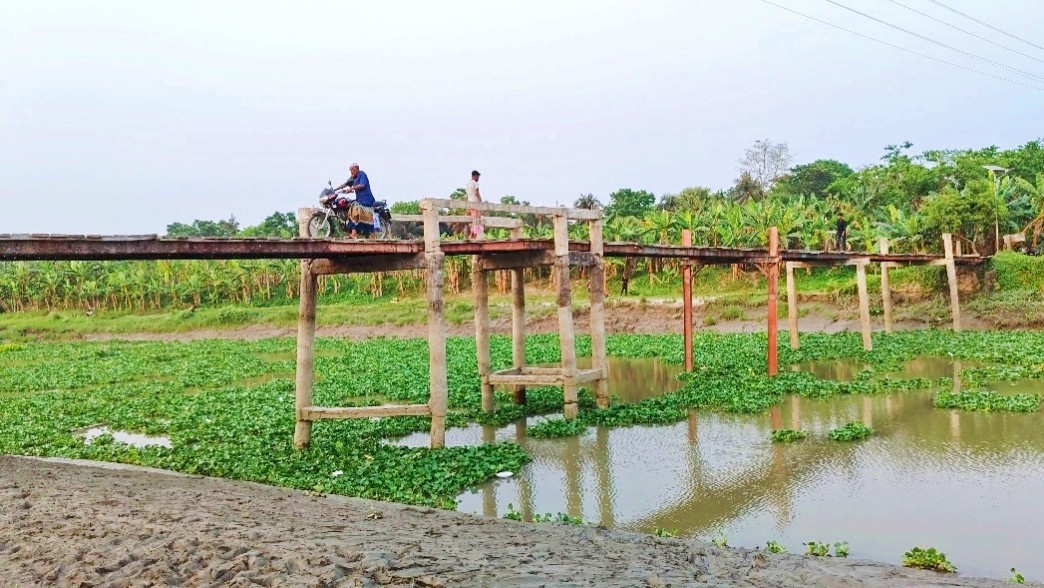 thumbnail_1000138221