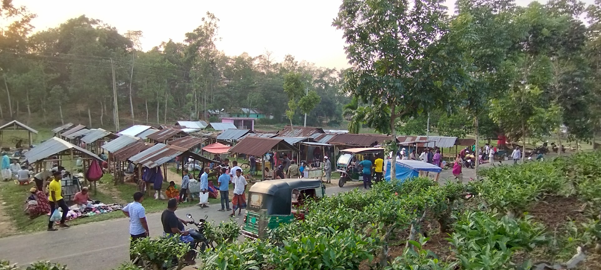 thumbnail_1000139192