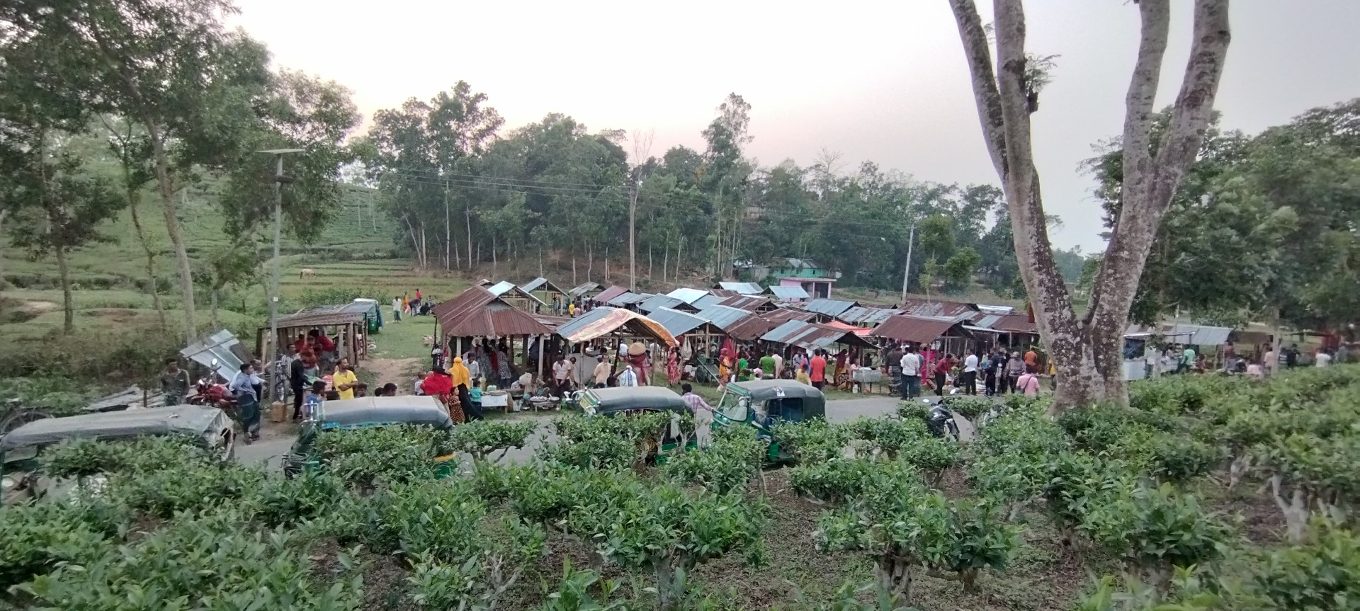 thumbnail_1000139195