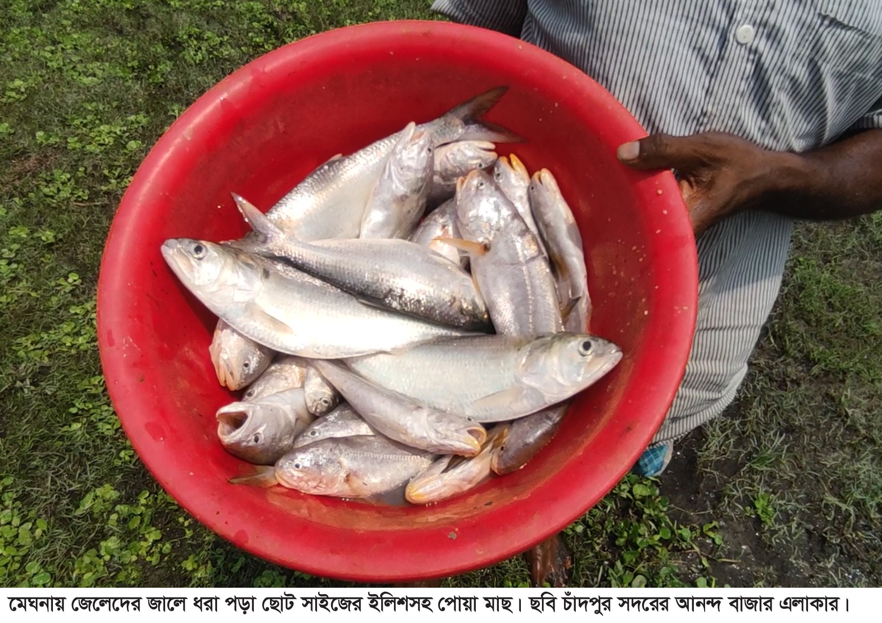 thumbnail_1000140493