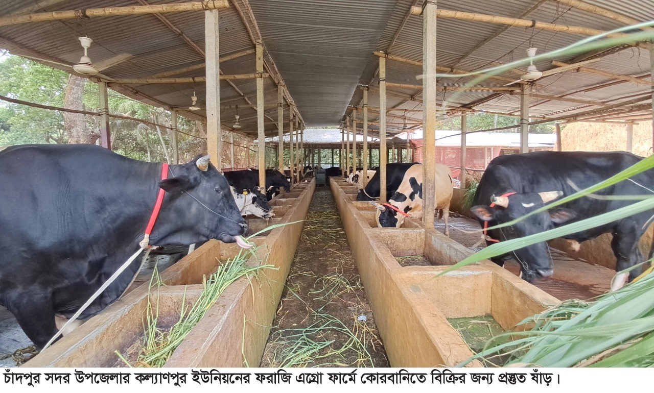 thumbnail_1000144565