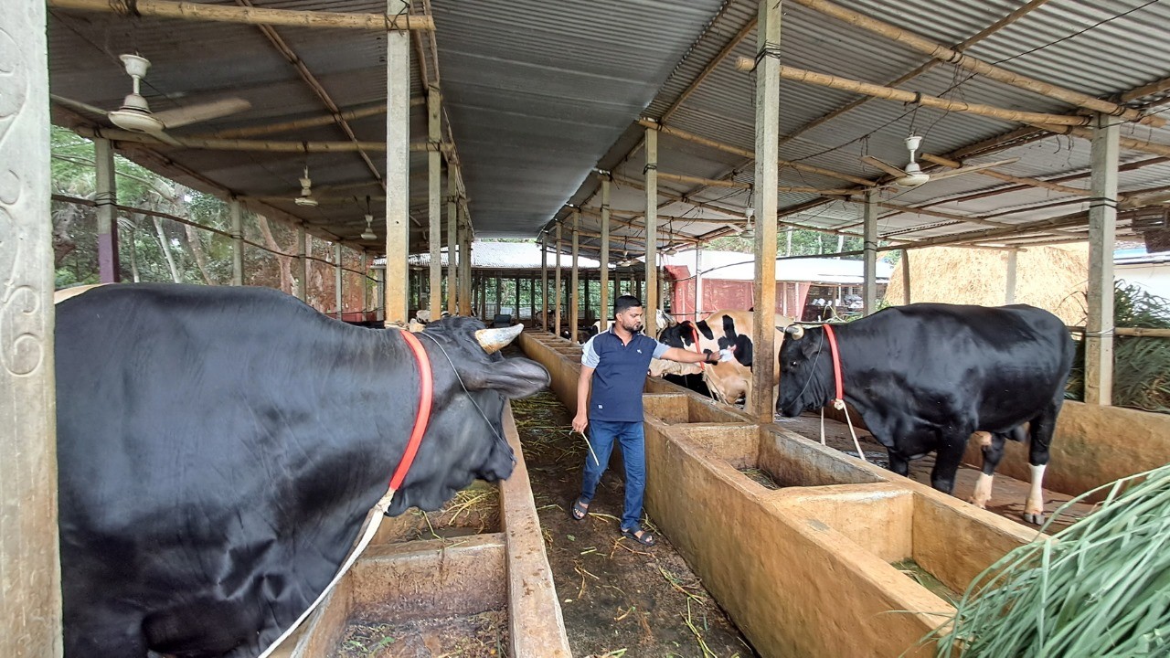 thumbnail_1000144567