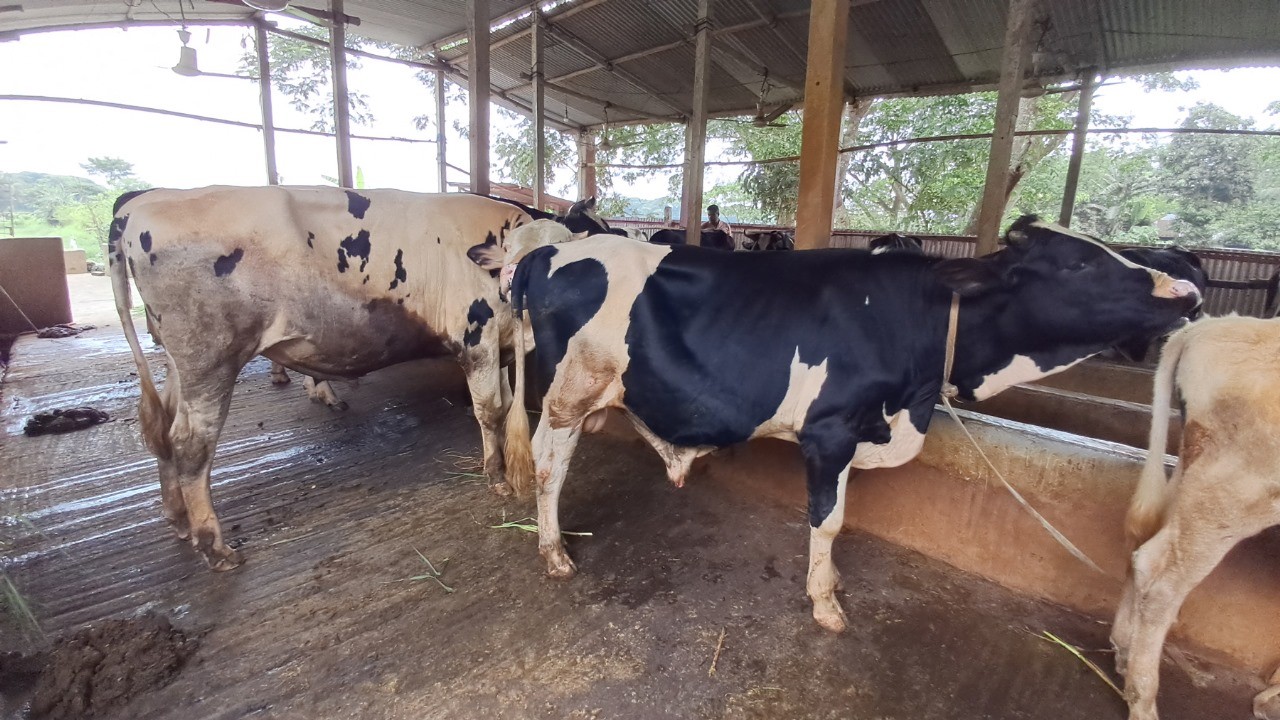 thumbnail_1000144568