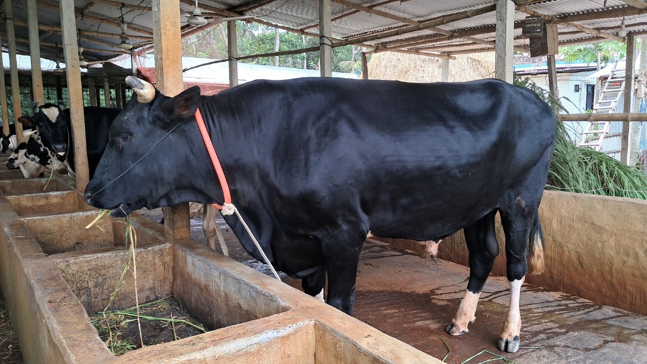 thumbnail_1000144570