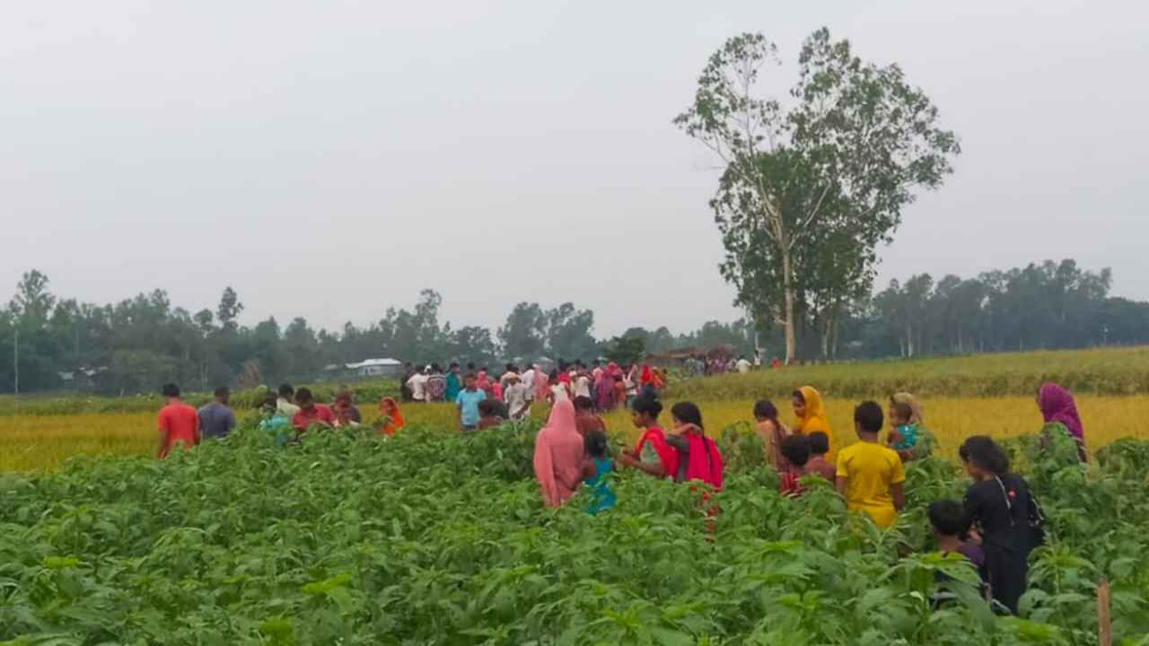 পাট খেত থেকে মুখ পোড়ানো অজ্ঞাত পরিচয় নারীর মরদেহ উদ্ধার