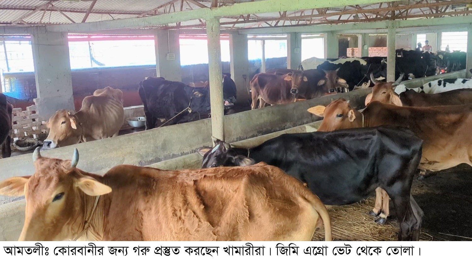 thumbnail_1000415025