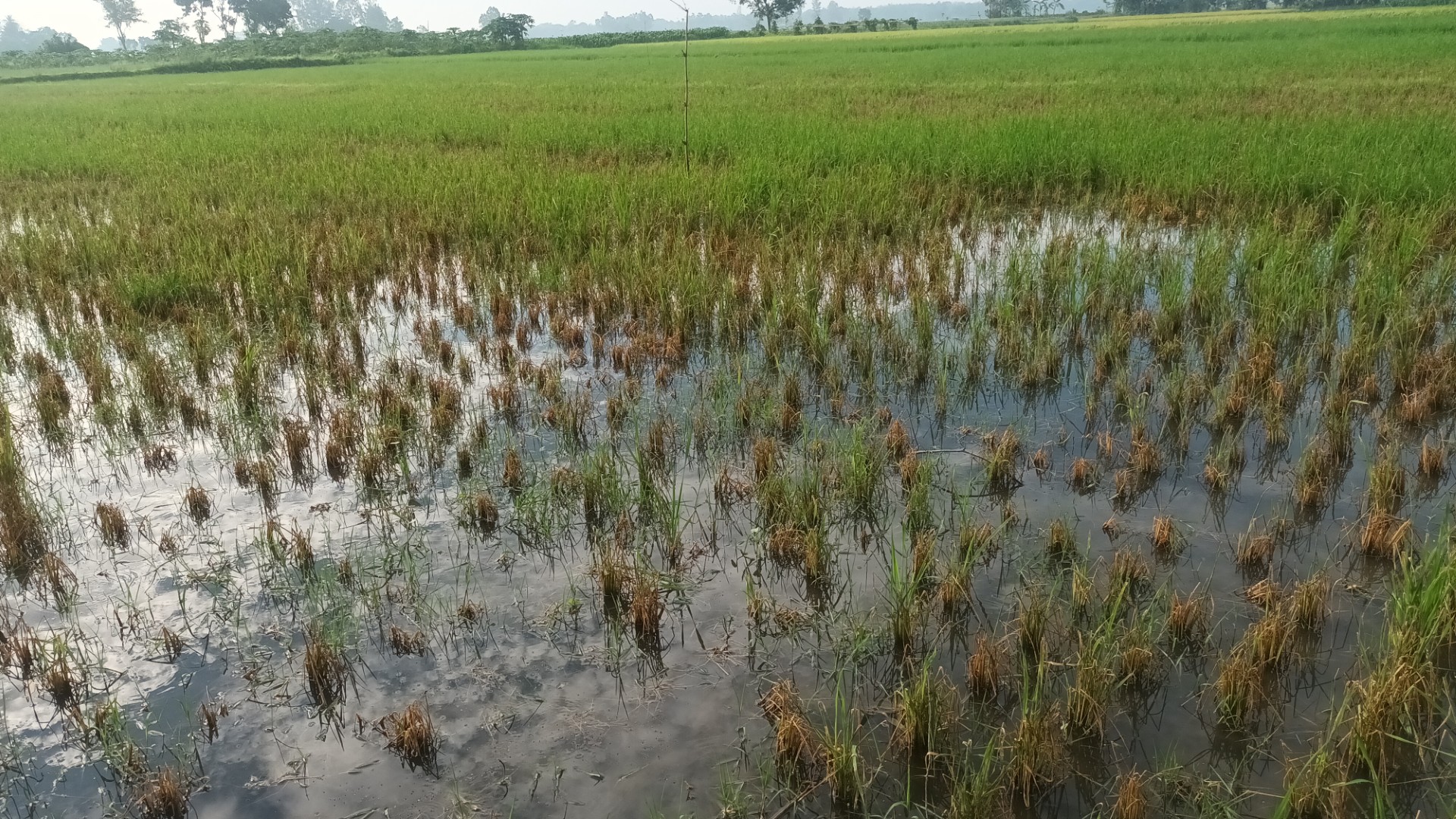 thumbnail_20250524_071556