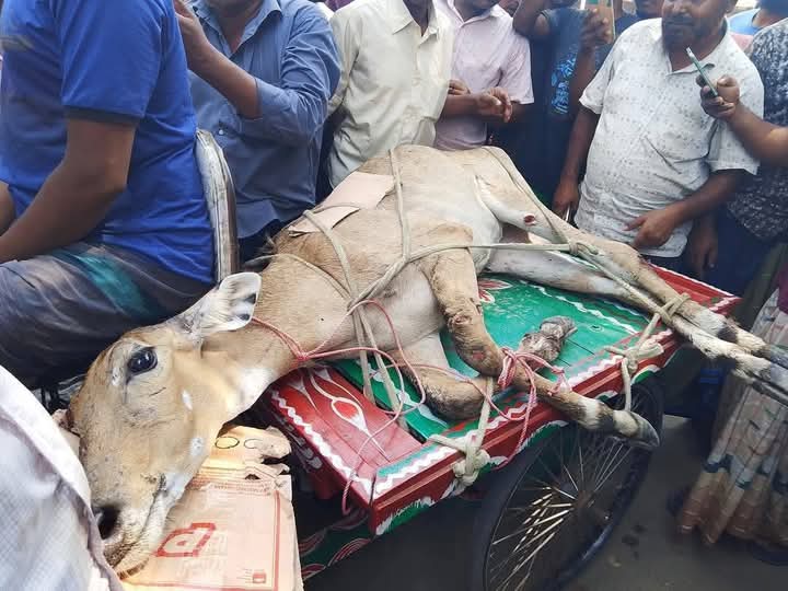 thumbnail_FB_IMG_1746953718105