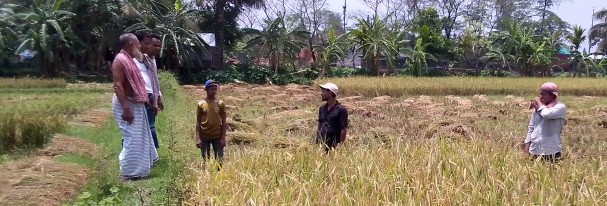 thumbnail_IMG-20250502-WA0000