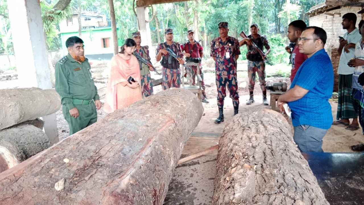 সাতক্ষীরায় ৪৭ লাখ টাকার কাঠ জব্দ, ৩ করাত কল সিলগালা