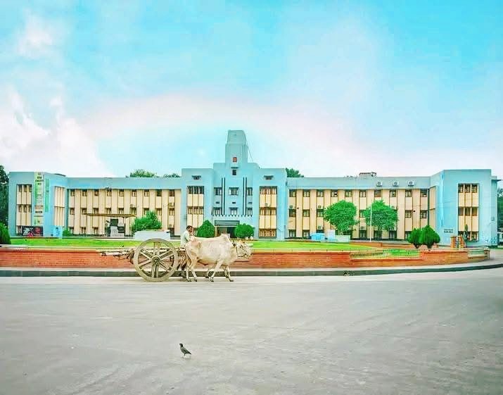 thumbnail_IMG_20250504_121217