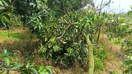 thumbnail_IMG_20250510_163701