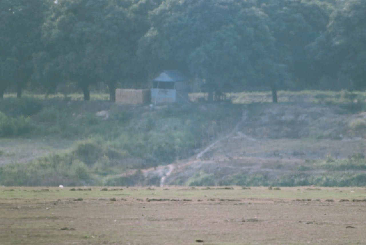 thumbnail_IMG_20250511_223333