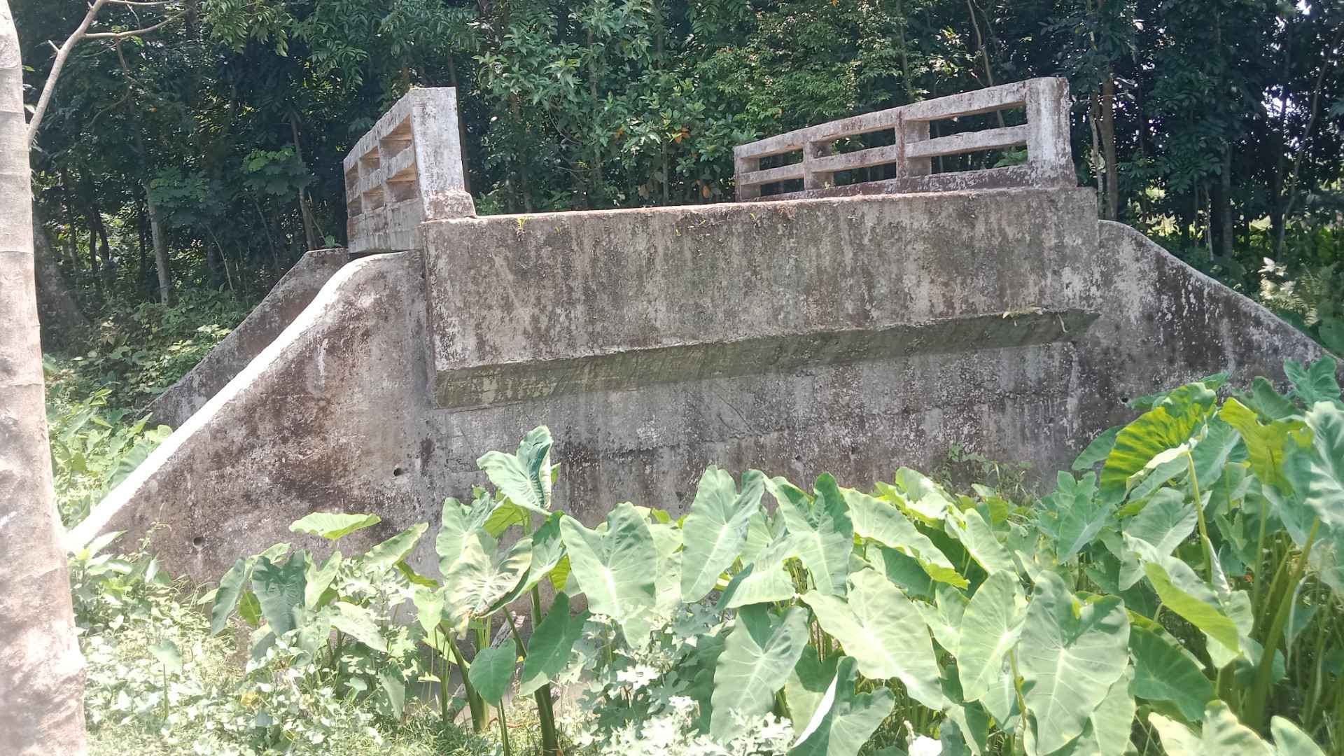 খাল ছাড়া সেতু, নেই রাস্তা