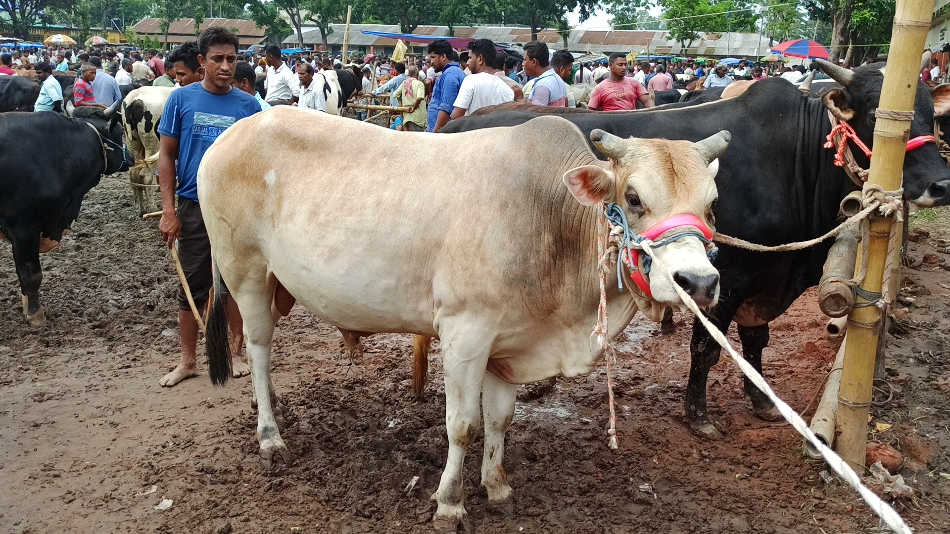 thumbnail_IMG_20250525_205241