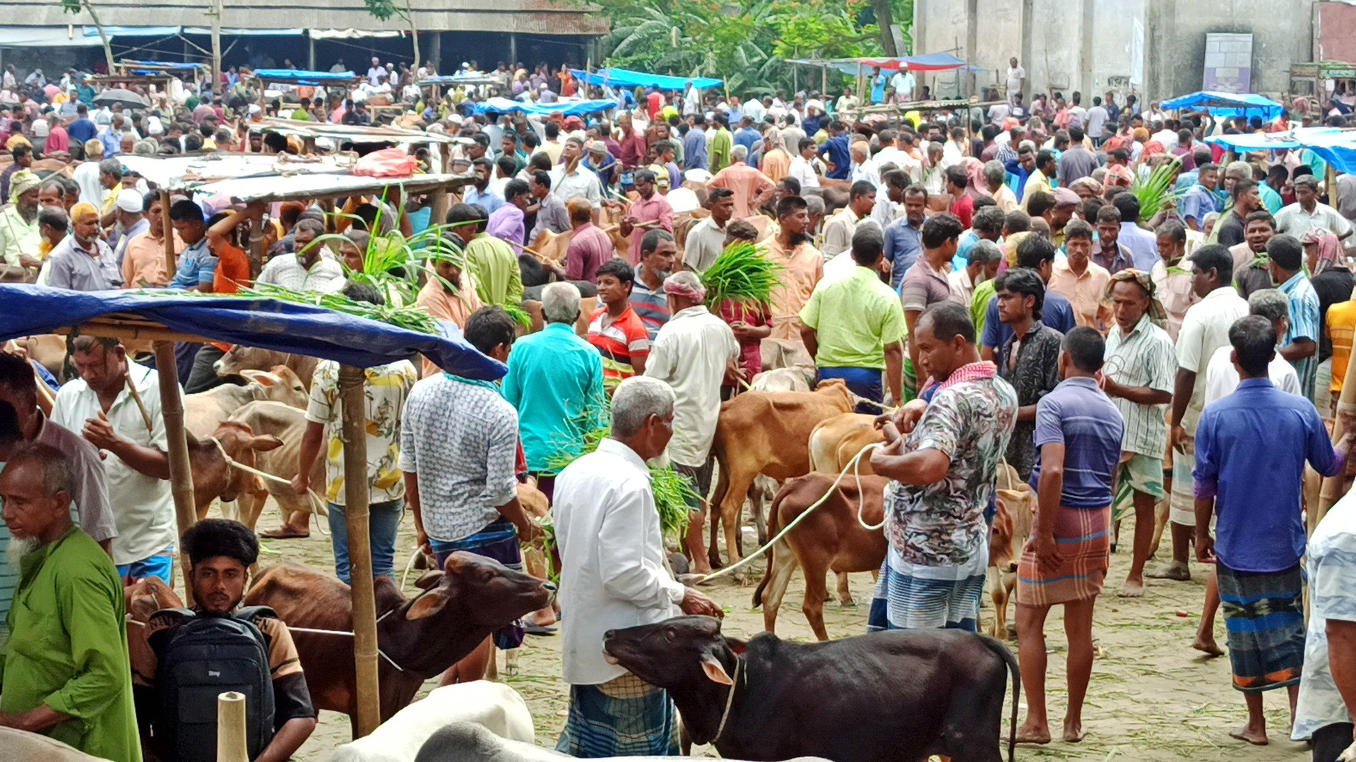 thumbnail_IMG_20250525_205259