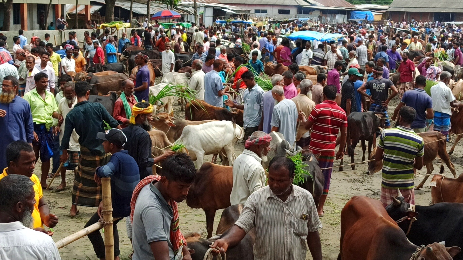 thumbnail_IMG_20250525_205309