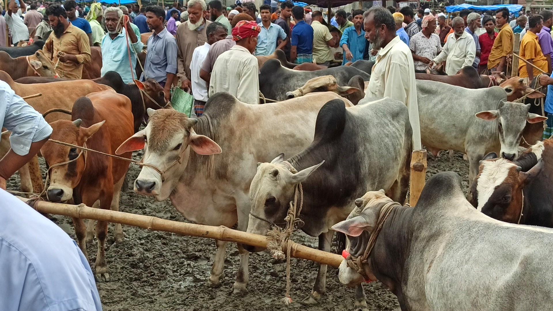 thumbnail_IMG_20250525_205514