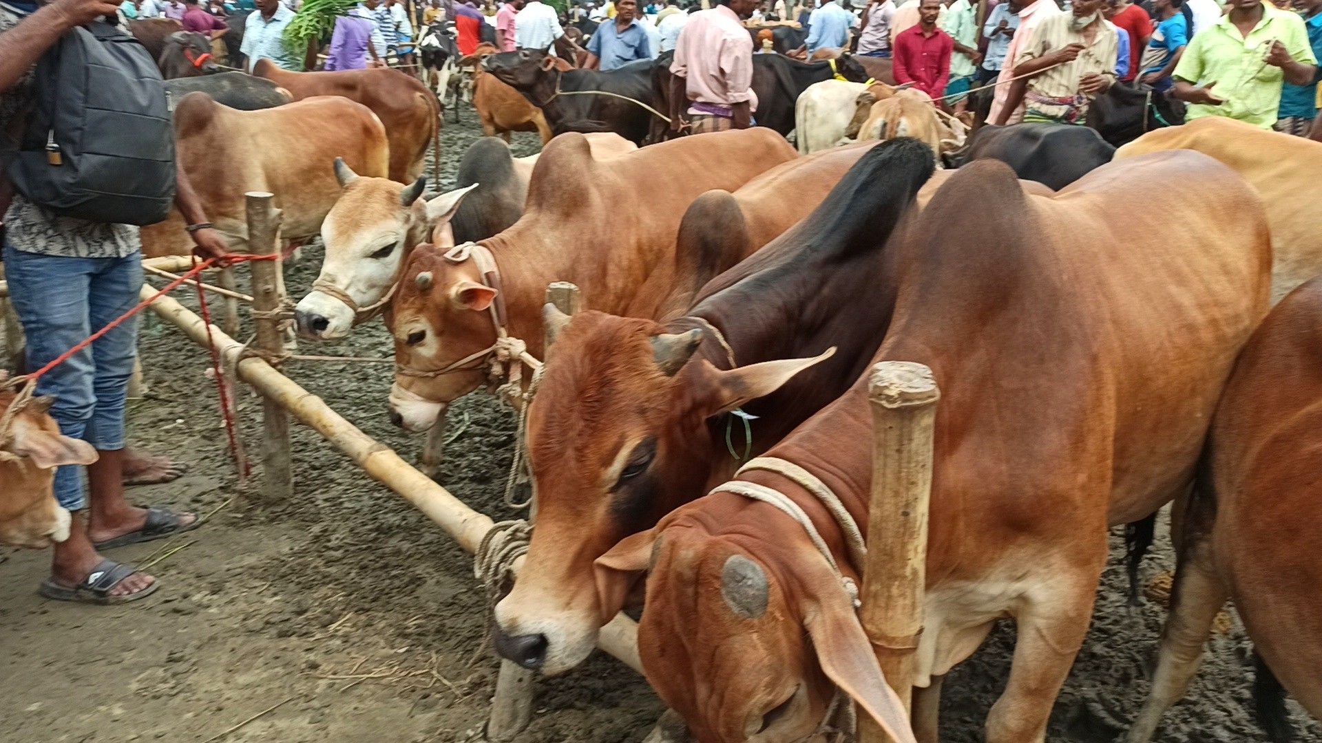 thumbnail_IMG_20250525_205546